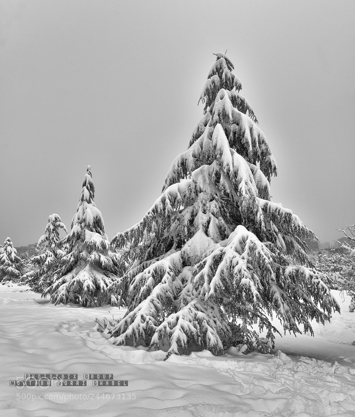 Nikon D810 sample photo. Winter is coming photography