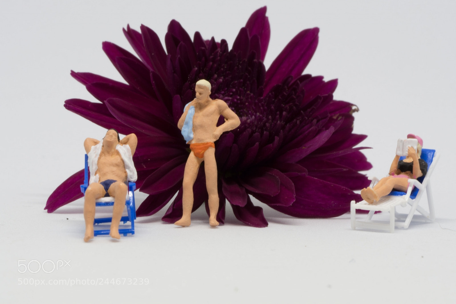 Olympus OM-D E-M10 II sample photo. Sunbathing photography