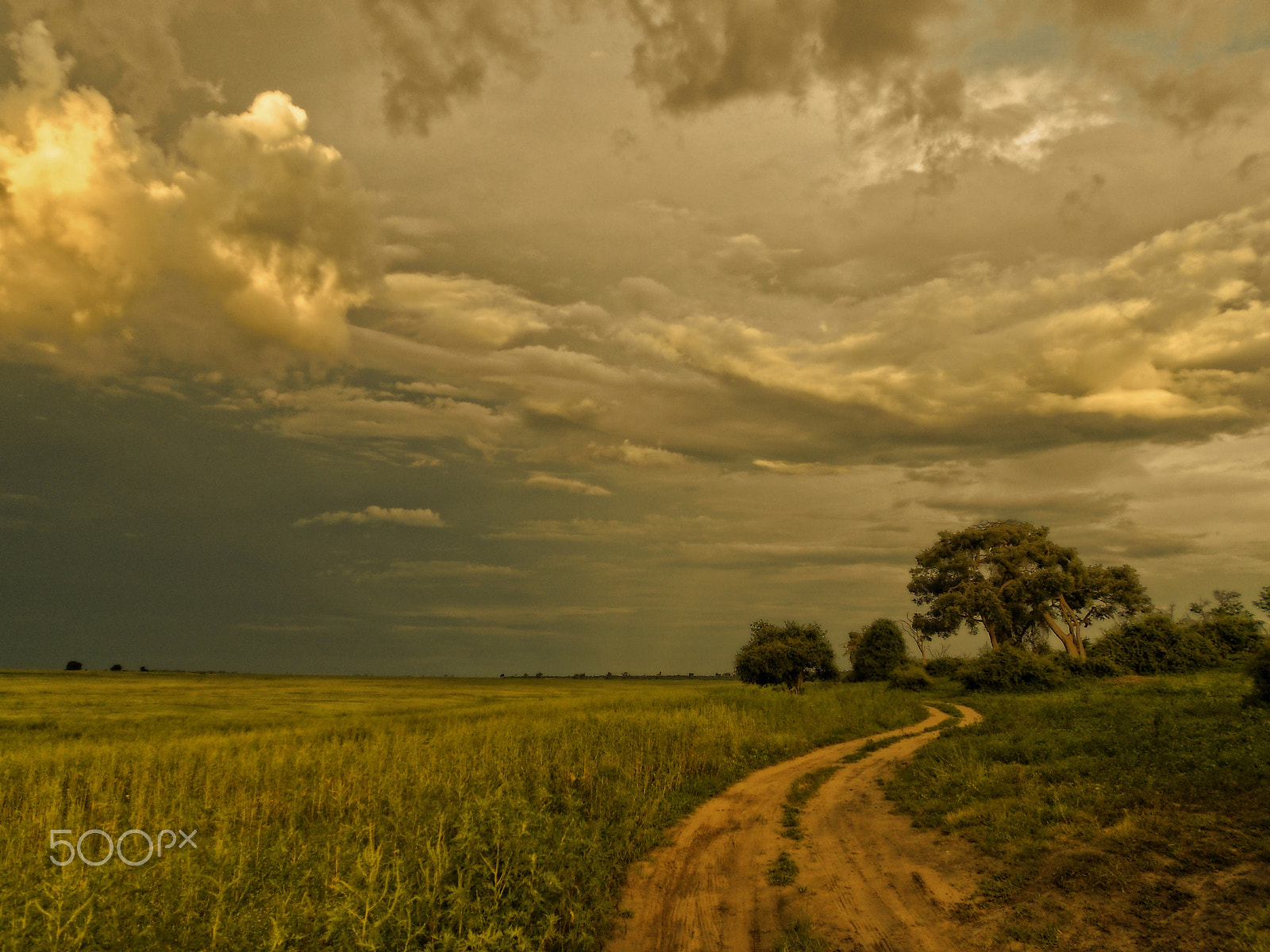 Nikon Coolpix S3100 sample photo. Botswana sunset photography