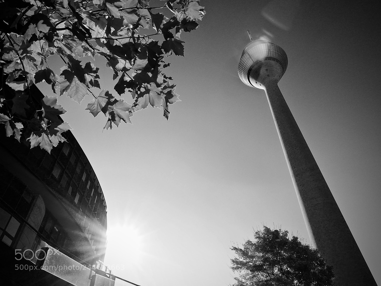 Leica D-Lux (Typ 109) sample photo. Clear sky photography