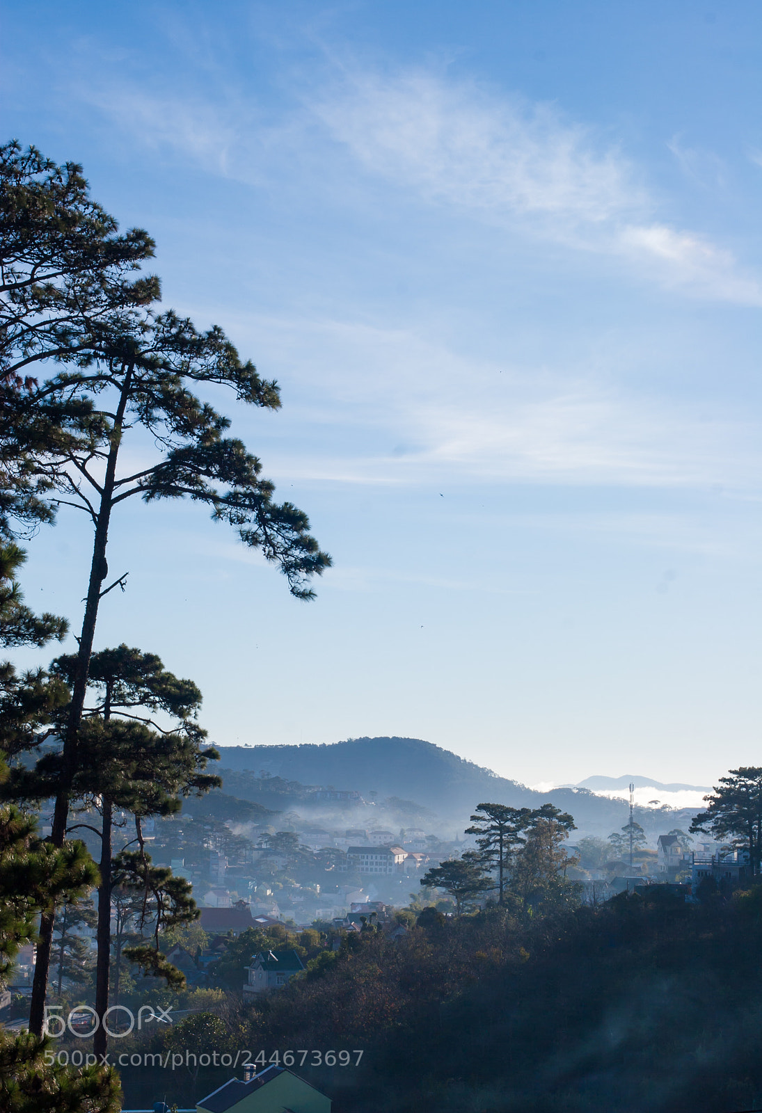 Canon EOS 20D sample photo. Morning photography