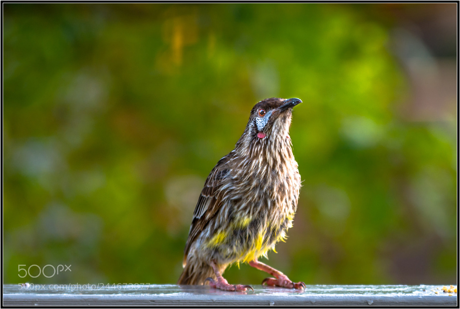 Nikon D7200 sample photo. Sitting in the morning photography