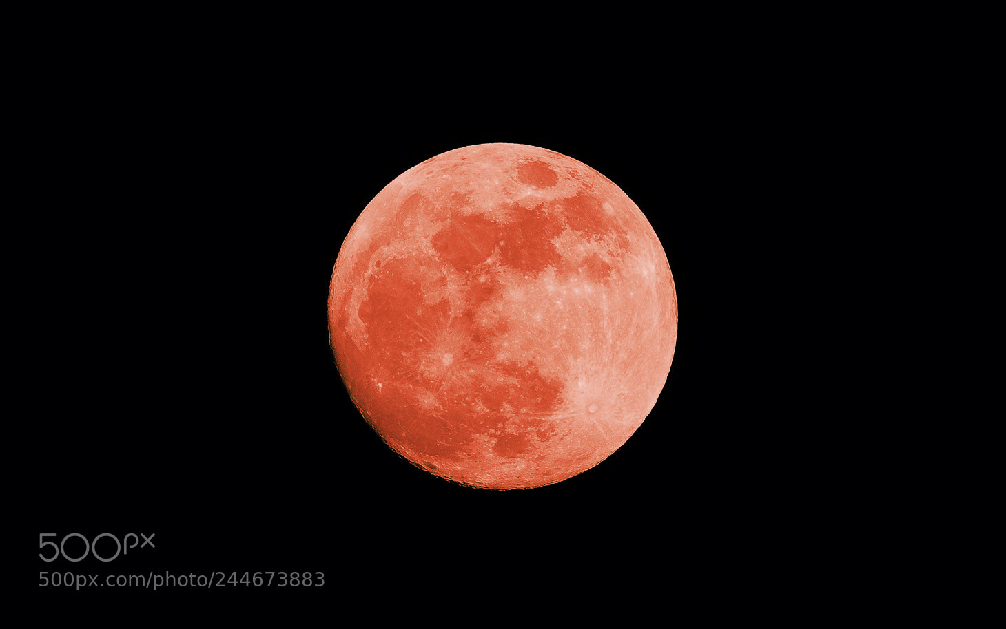 Nikon D7500 sample photo. Nearly full moon photography