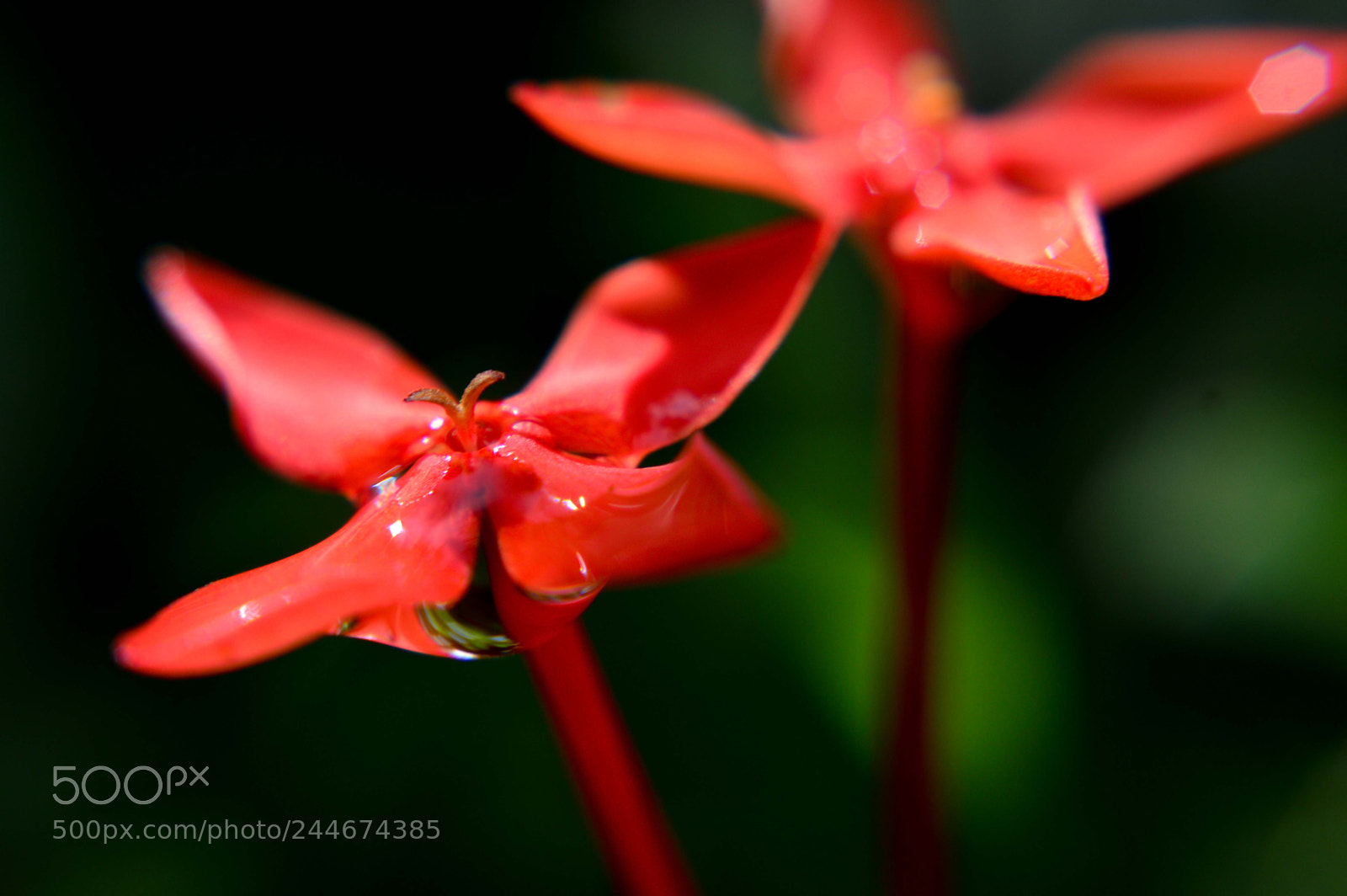 Nikon D3200 sample photo. Untitled photography
