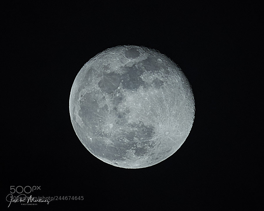 Nikon D850 sample photo. 20180201_3867 photography