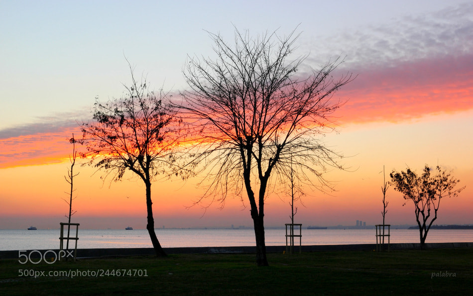 Samsung NX1 sample photo. ... photography