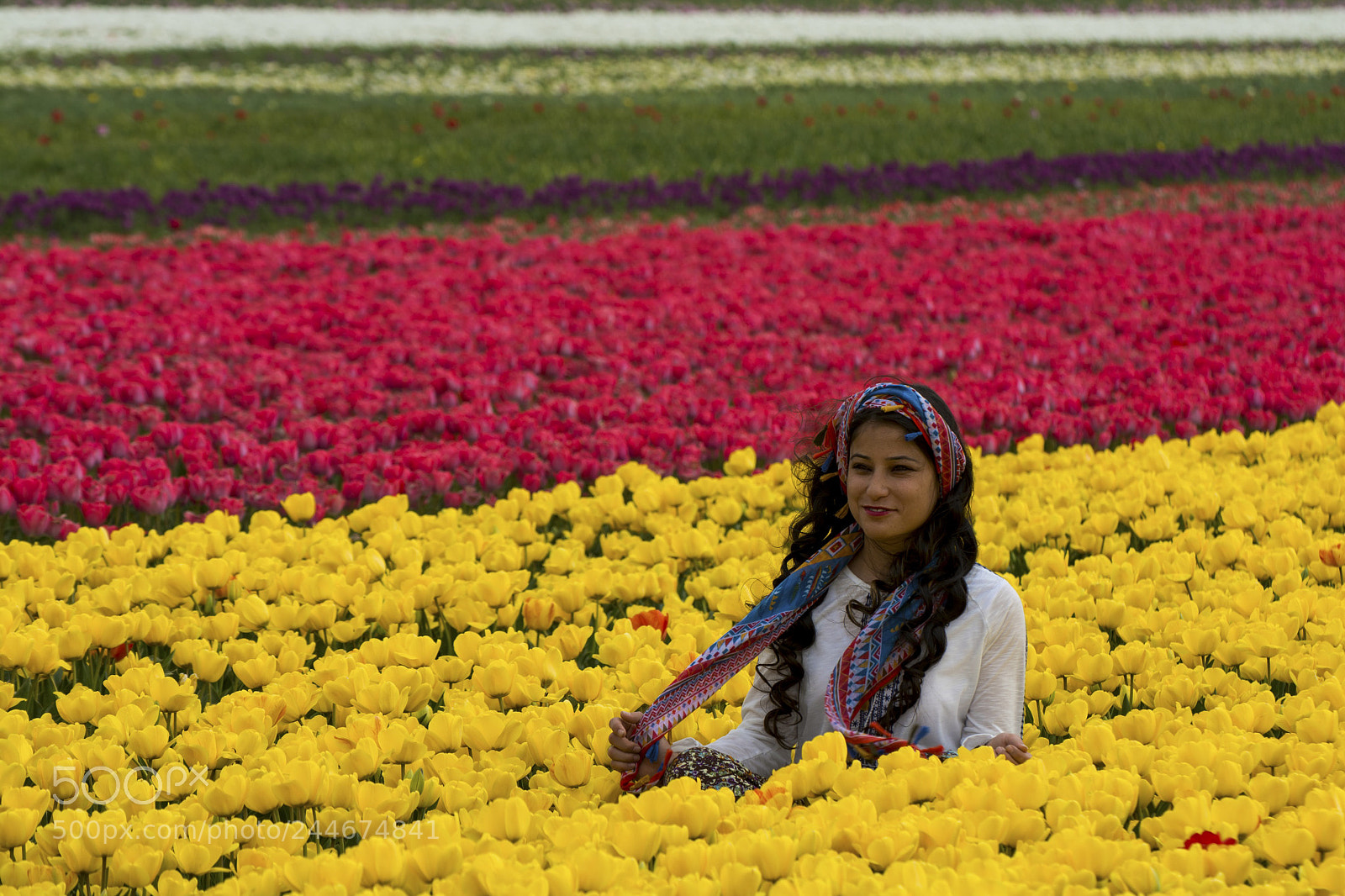 Nikon D7100 sample photo. Untitled photography