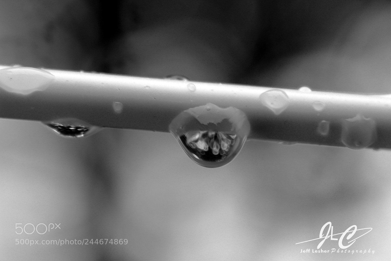 Canon EOS 1300D (EOS Rebel T6 / EOS Kiss X80) sample photo. The upside down photography