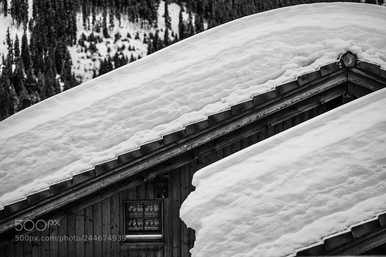 Sony a7 II sample photo. Snow photography