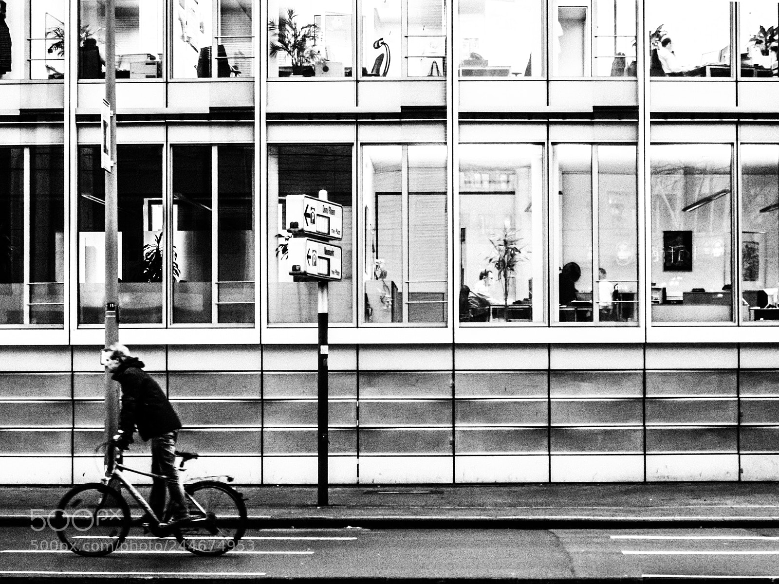 Olympus OM-D E-M5 sample photo. Brain plantation photography