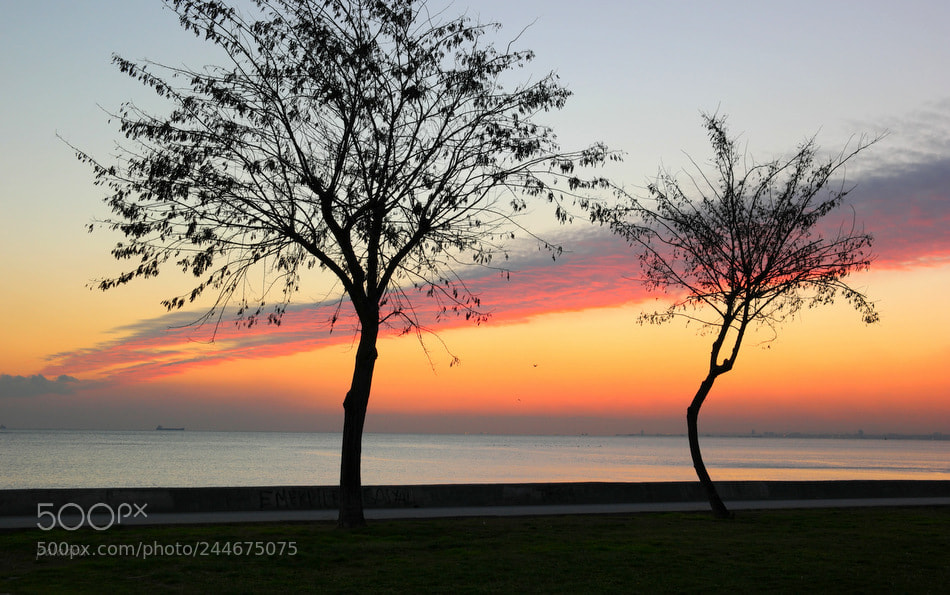 Samsung NX1 sample photo. ... photography