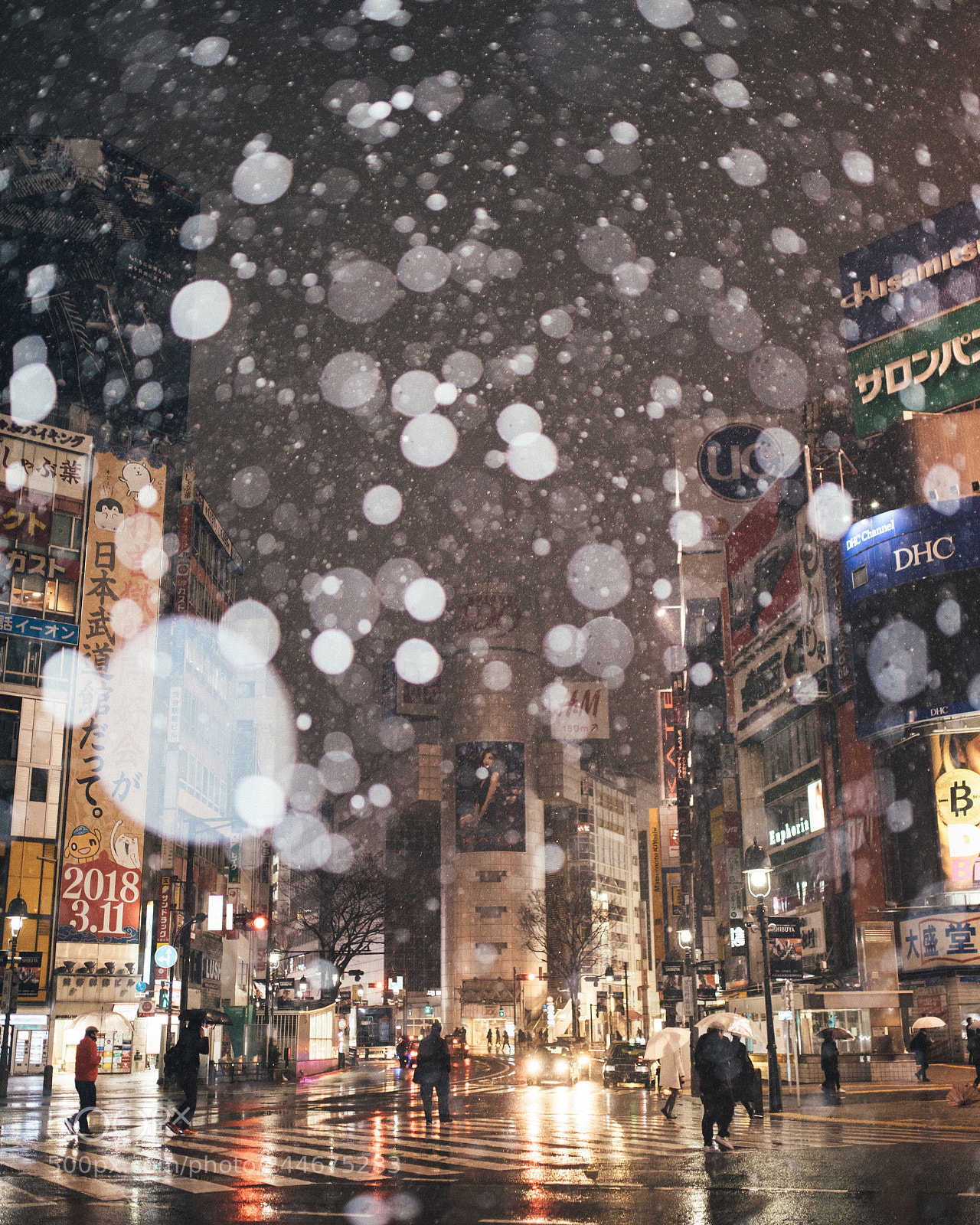 Nikon D810 sample photo. Snow day in tokyo photography