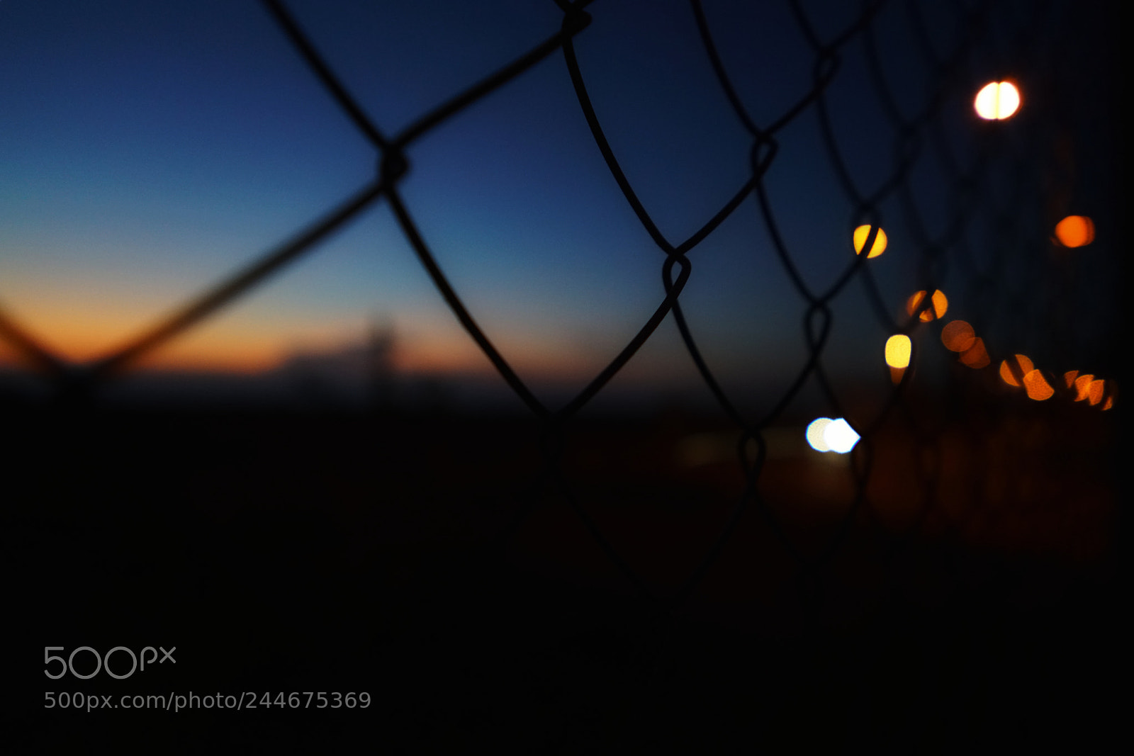 Sony a7R II sample photo. Untitled photography