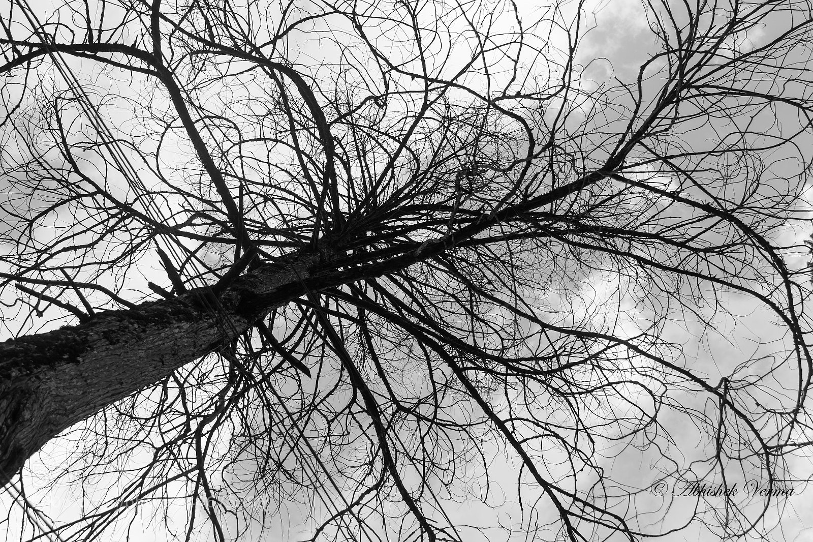 Canon EOS 550D (EOS Rebel T2i / EOS Kiss X4) sample photo. Seasons gone!! photography