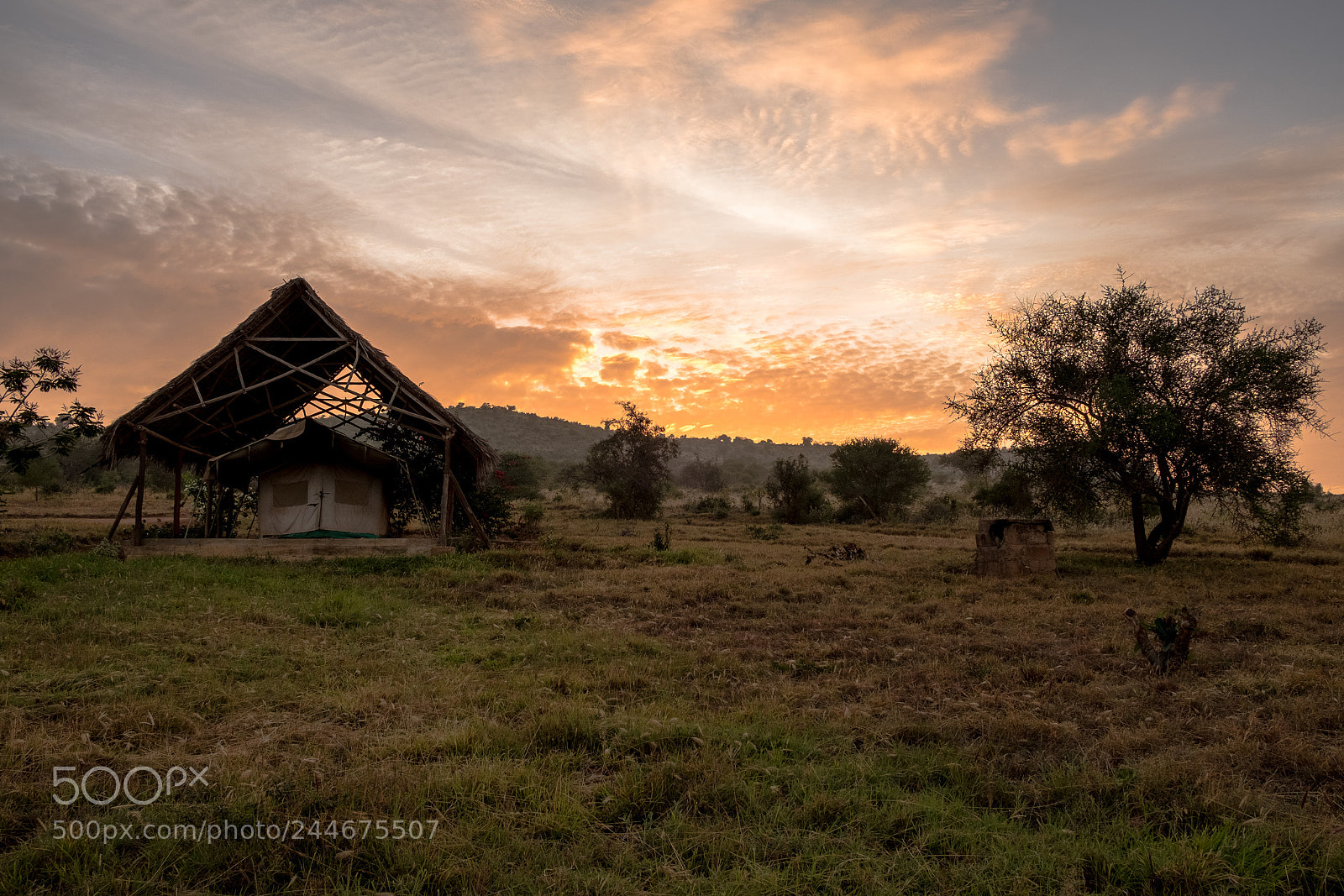 Fujifilm X-T2 sample photo. Africa love photography