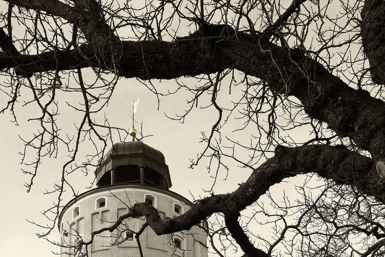 Canon EOS 5DS sample photo. Wintry tree photography
