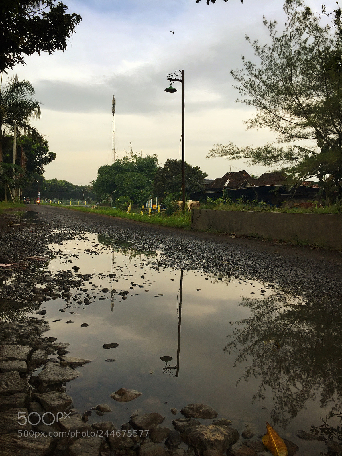 Apple iPhone 6 sample photo. Calm morning photography