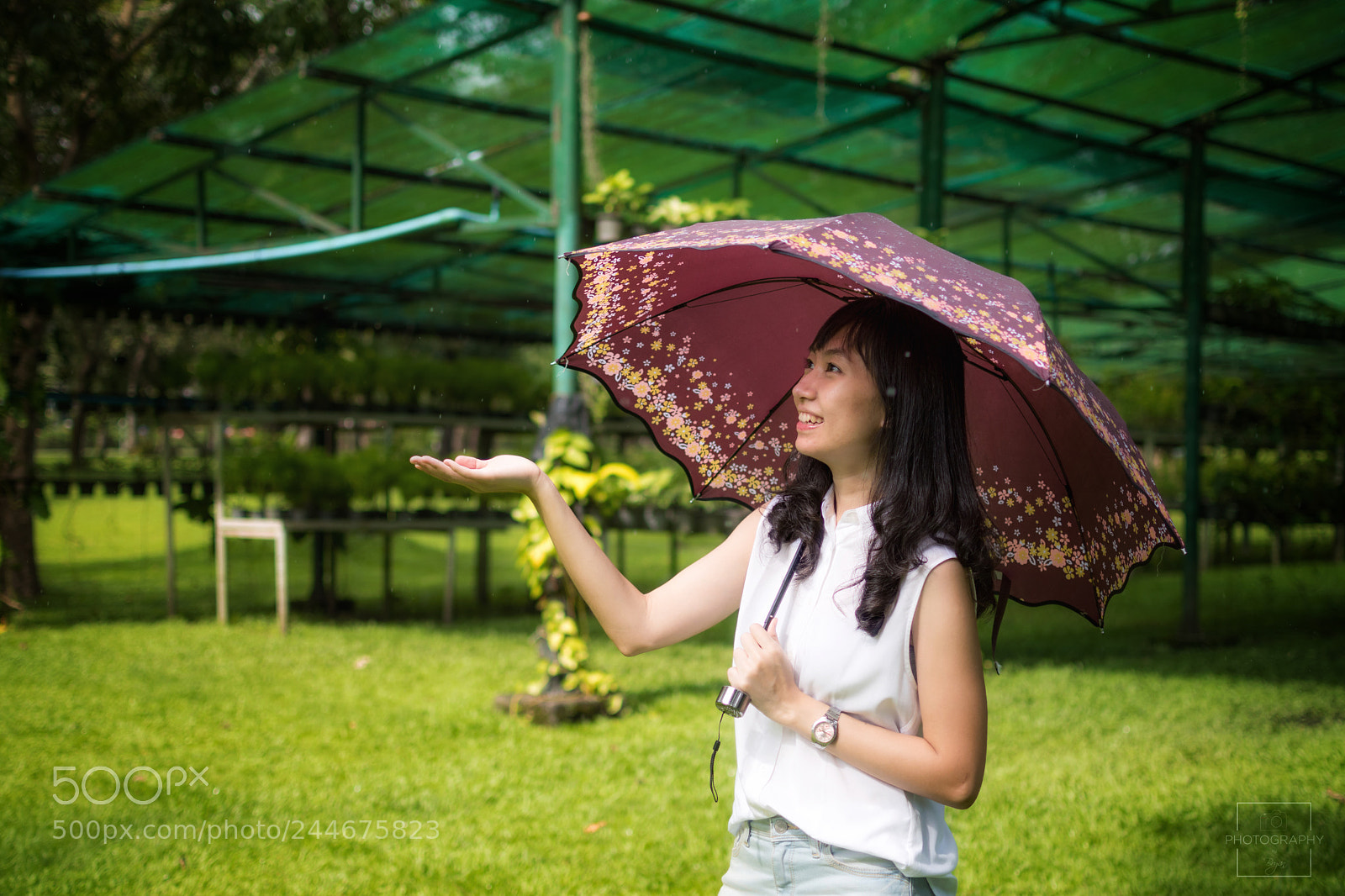 Nikon D5500 sample photo. ☔️ photography