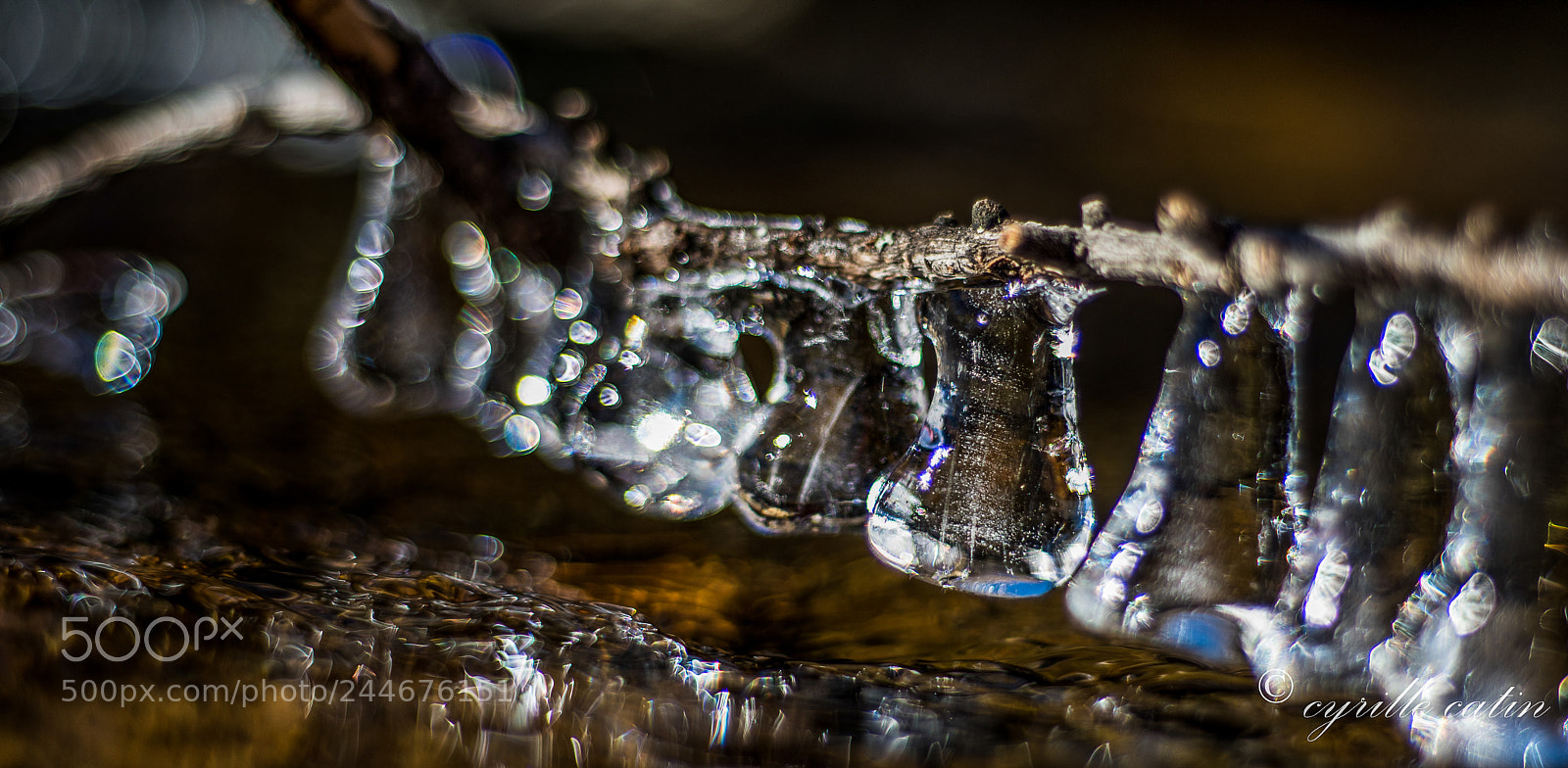 Nikon D810 sample photo. Clochette photography
