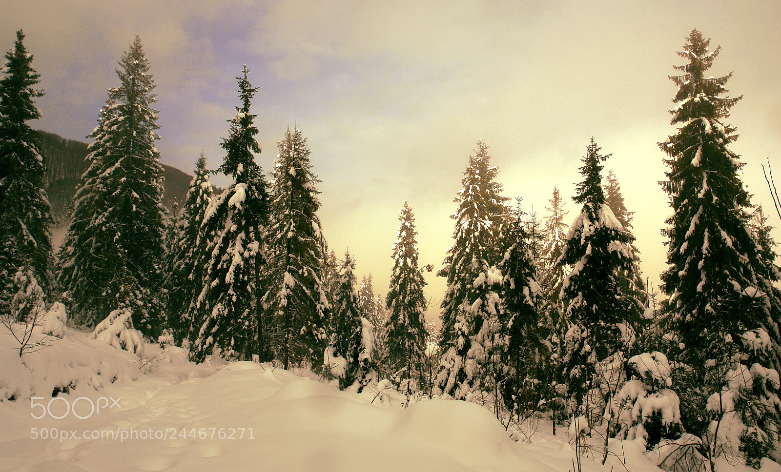 Sony DSC-R1 sample photo. Ukrainian carpathian mountains photography