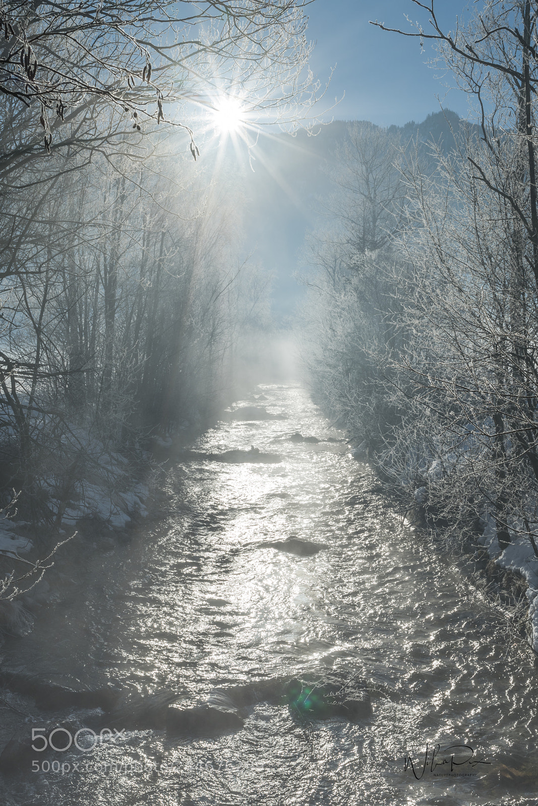 Nikon D500 sample photo. Just another winterpic :-) photography