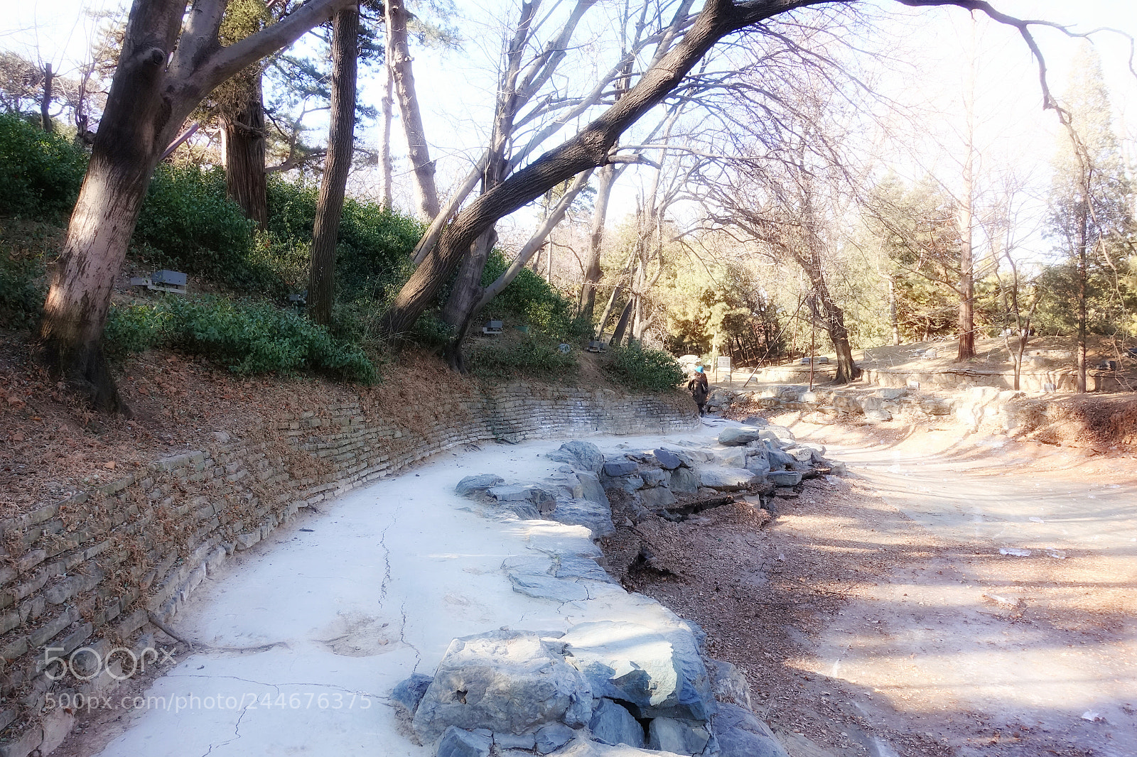 Sony DSC-RX100M5 sample photo. 颐和园不知名的路 photography