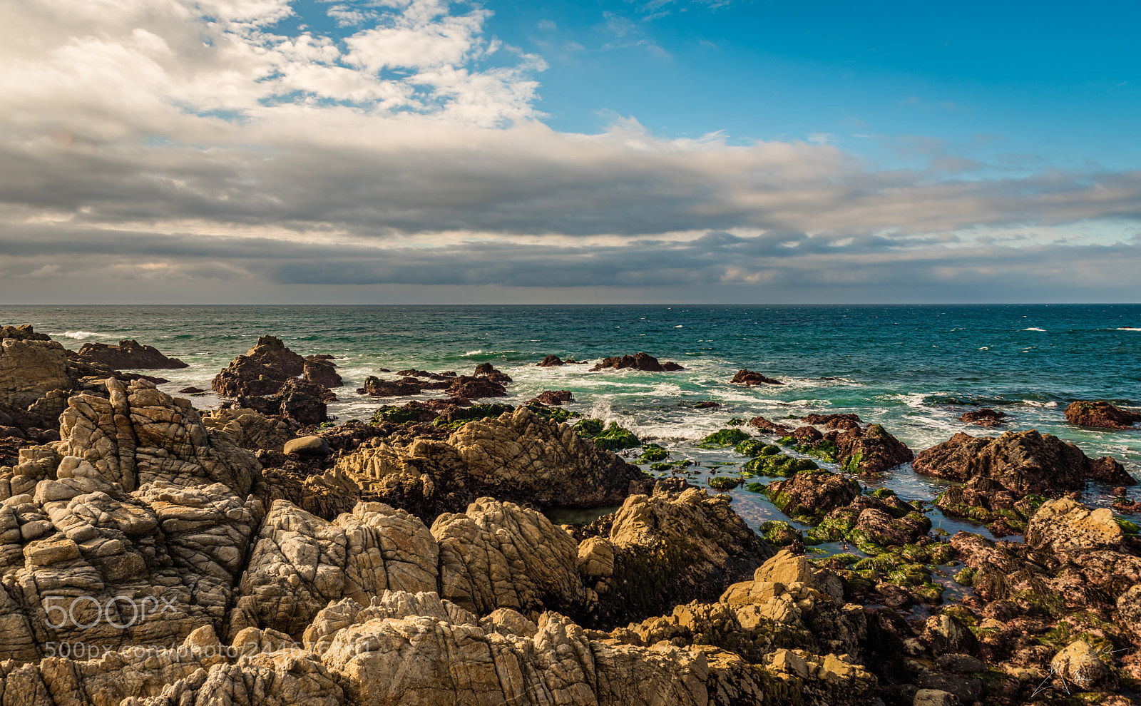 Nikon D810 sample photo. Carmel-by-the-sea photography