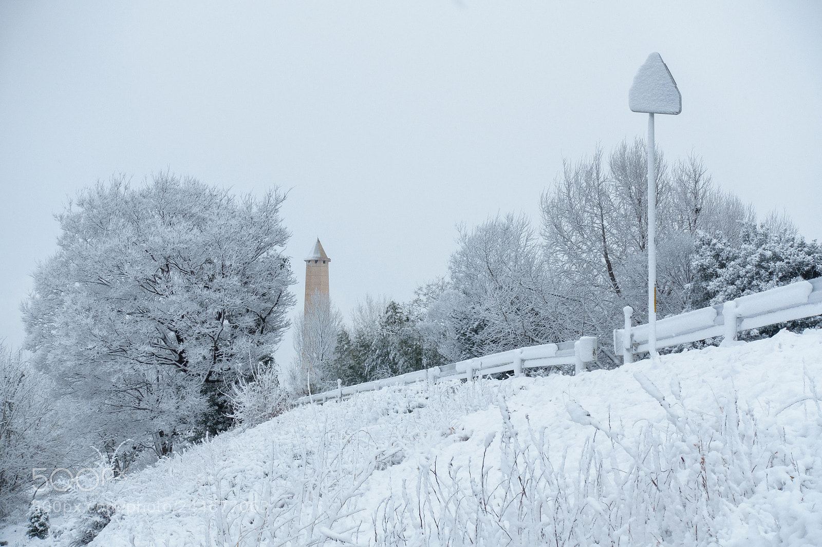 Sony Cyber-shot DSC-RX100 III sample photo. Fallen snow photography