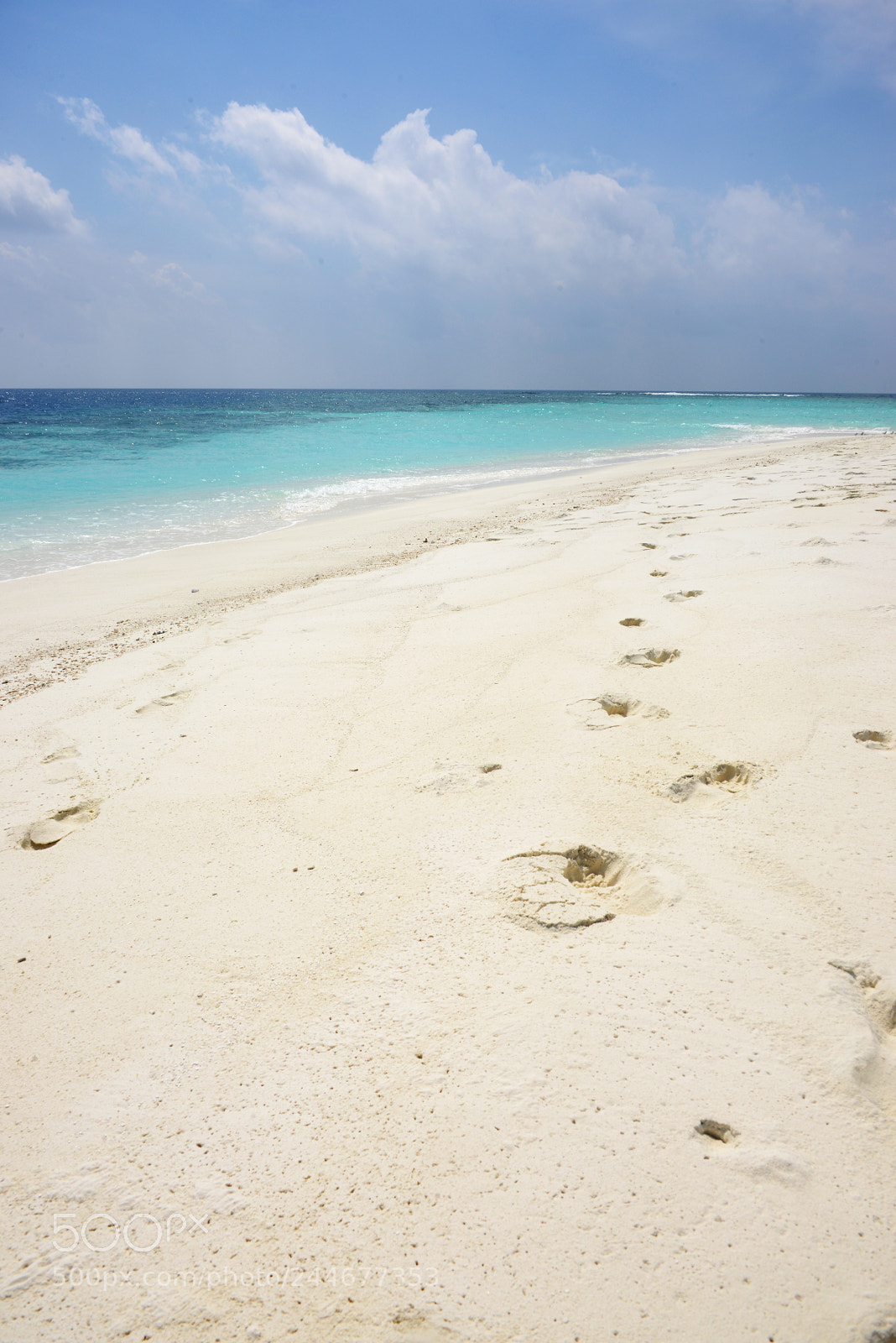 Nikon D800 sample photo. Maldives photography