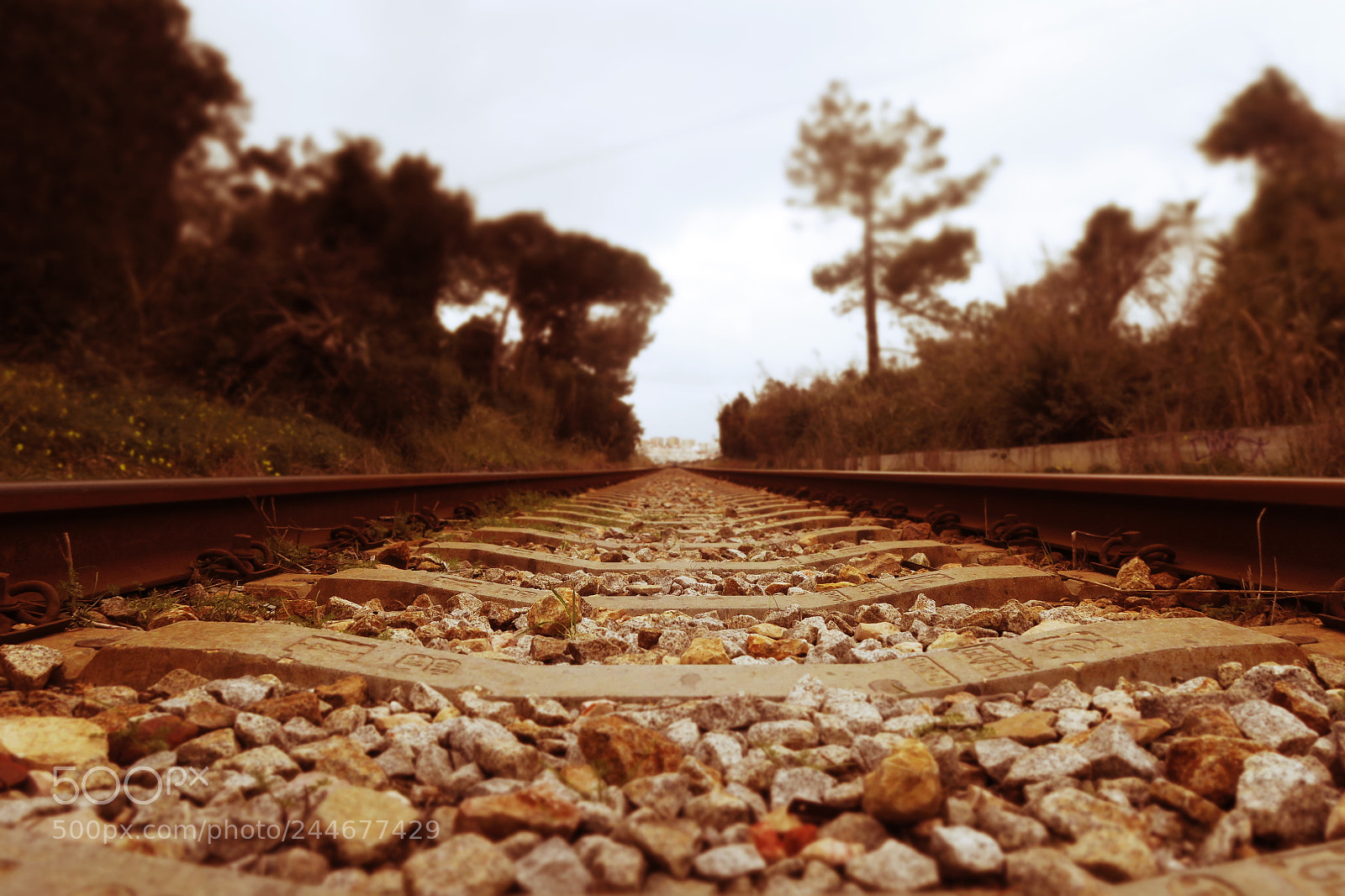 Canon PowerShot G5 X sample photo. Railroad tracks in portugal photography