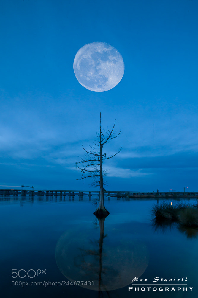 Nikon D800 sample photo. Big moon photography