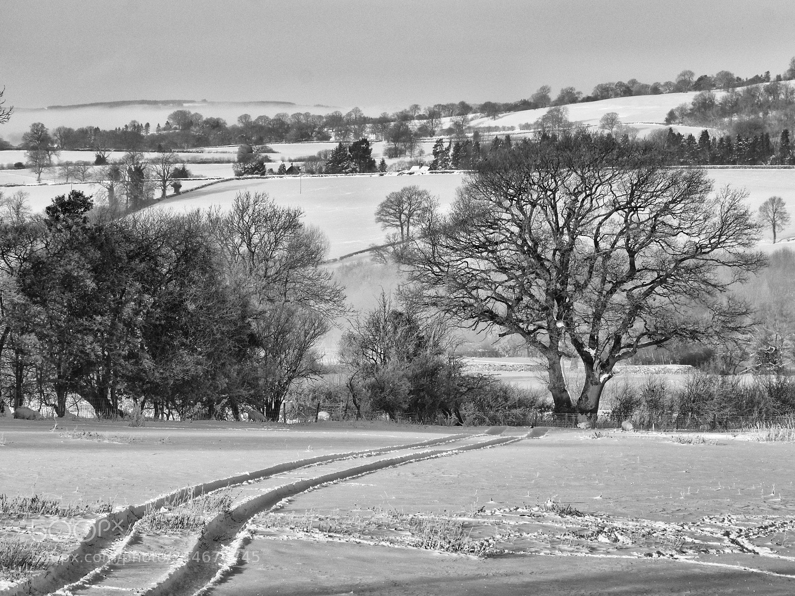 Olympus OM-D E-M5 II sample photo. Views from home photography