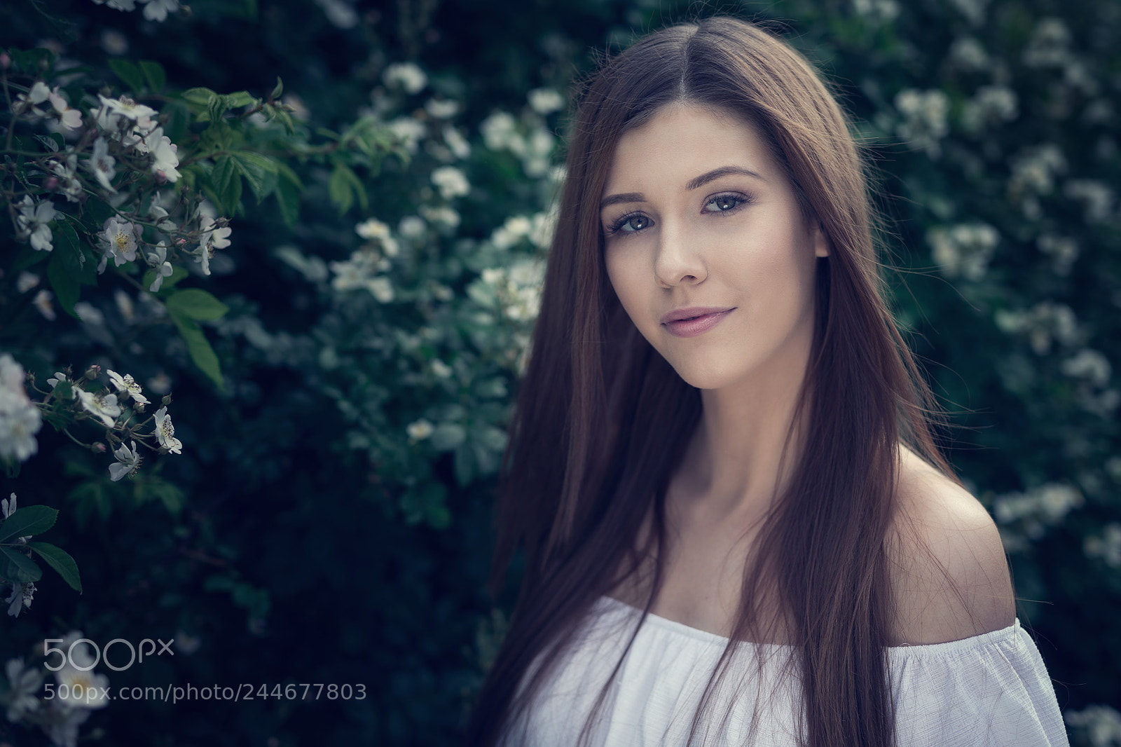 Canon EOS-1D X sample photo. Victoria photography