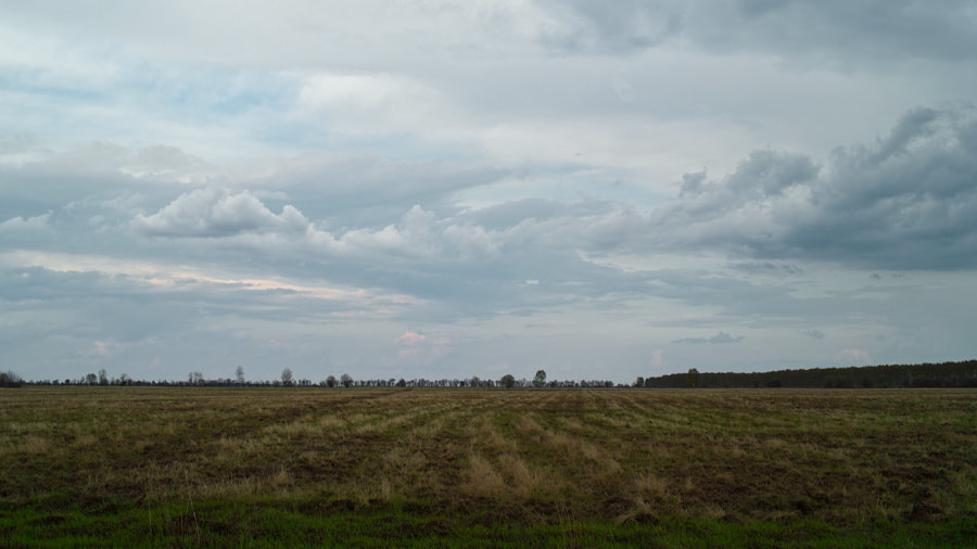Sigma DP2 sample photo. Celestial front. photography