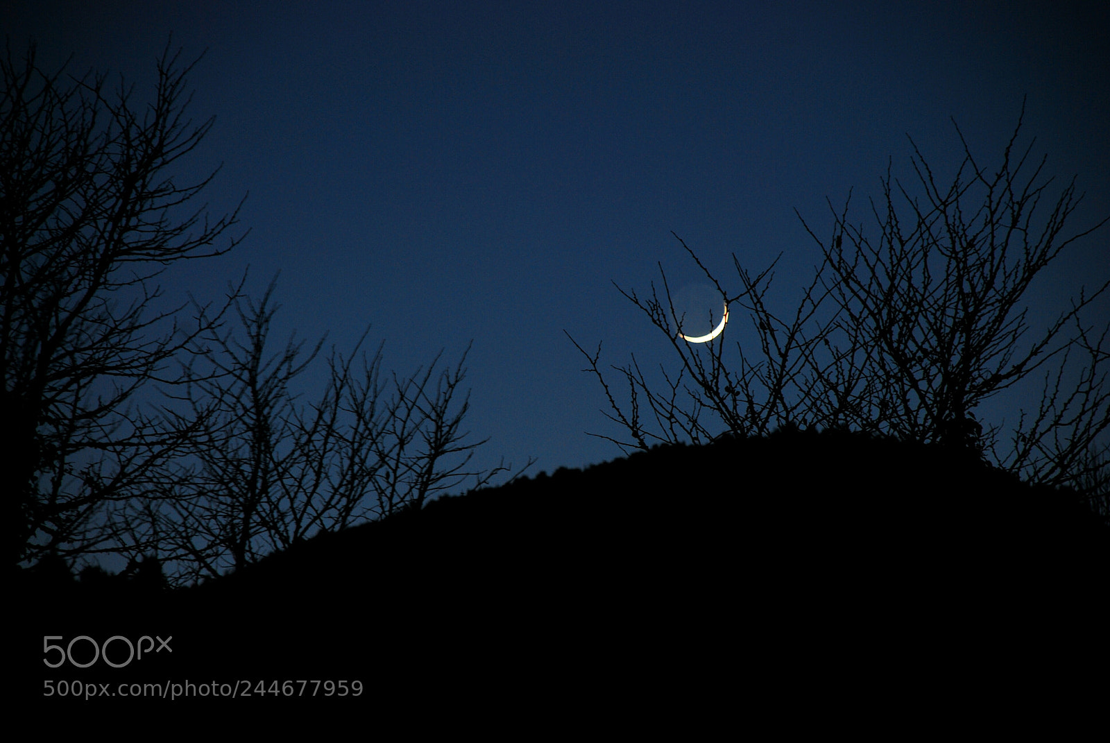 Nikon D80 sample photo. Night time in the photography
