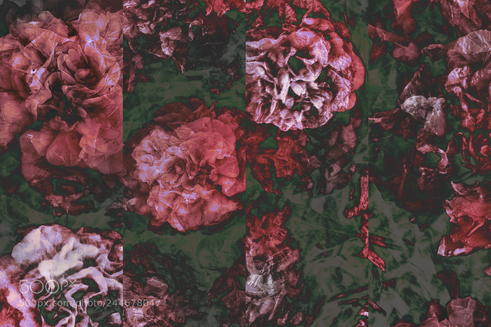 Nikon D610 sample photo. Fallen flowers photography