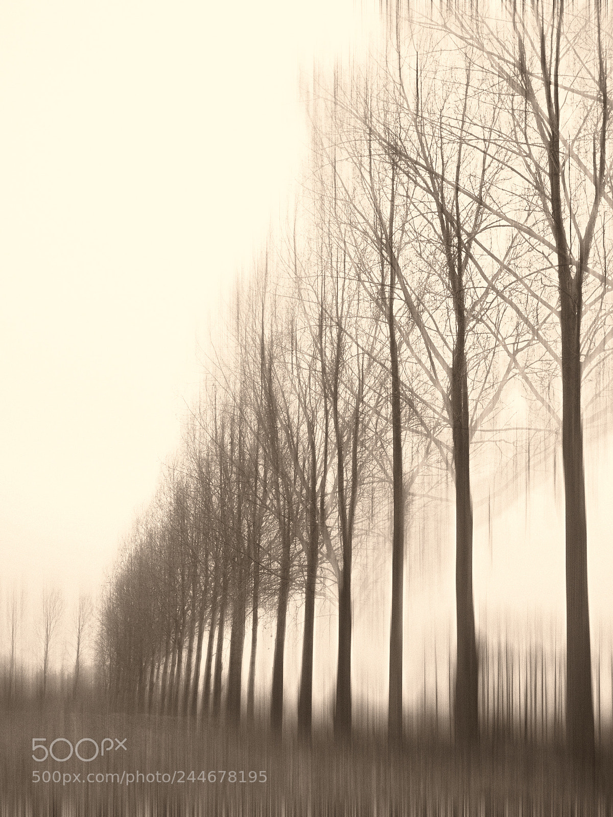 Panasonic Lumix DMC-GF1 sample photo. Pajottenland serie photography