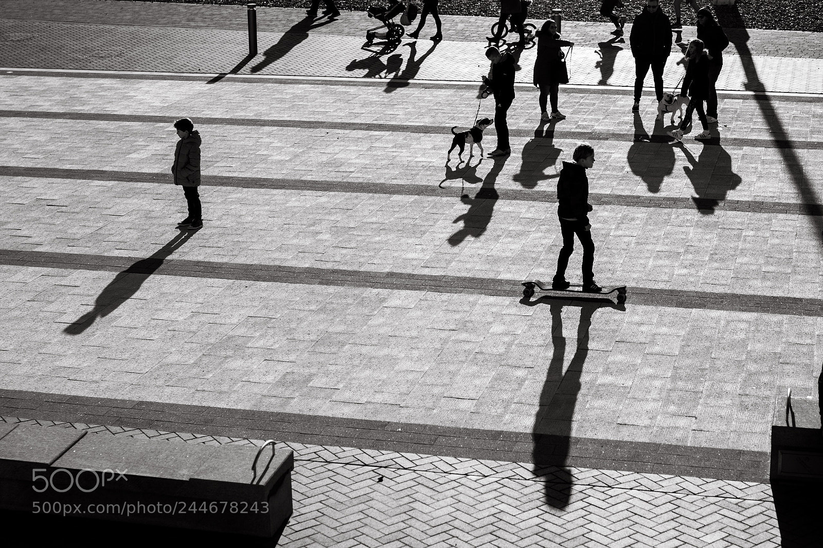 Nikon D7200 sample photo. Shadow play photography