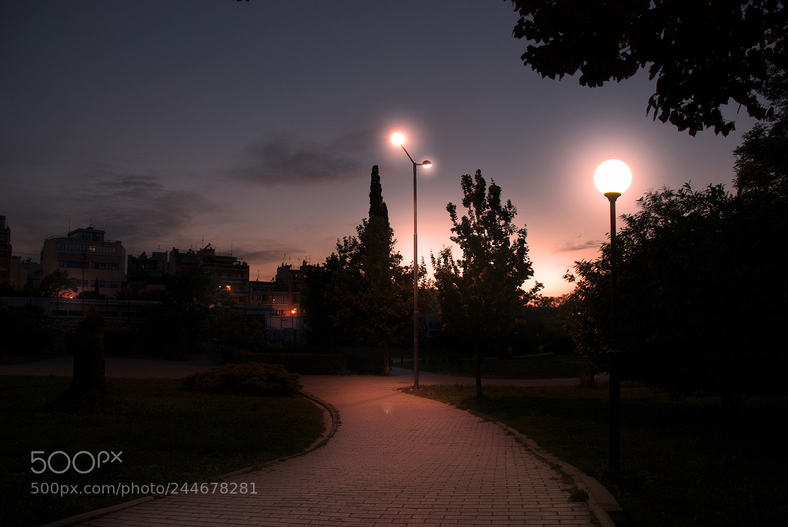 Nikon D80 sample photo. Nightshot at the park photography
