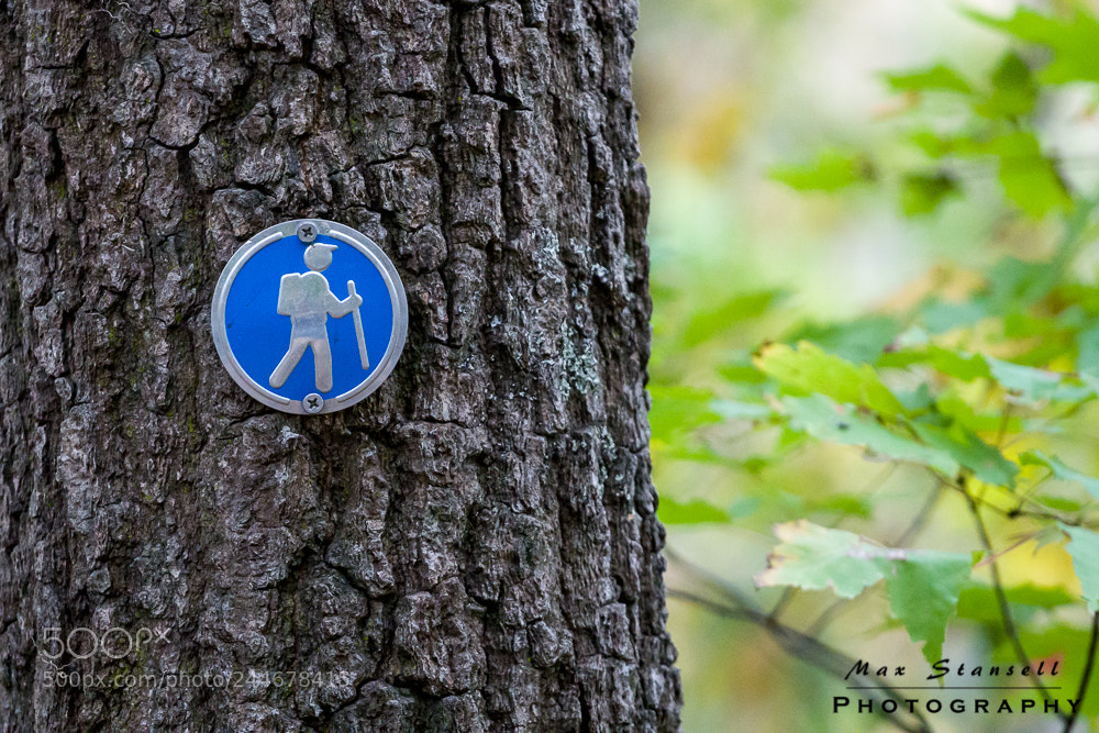 Sony a6300 sample photo. Hiker photography