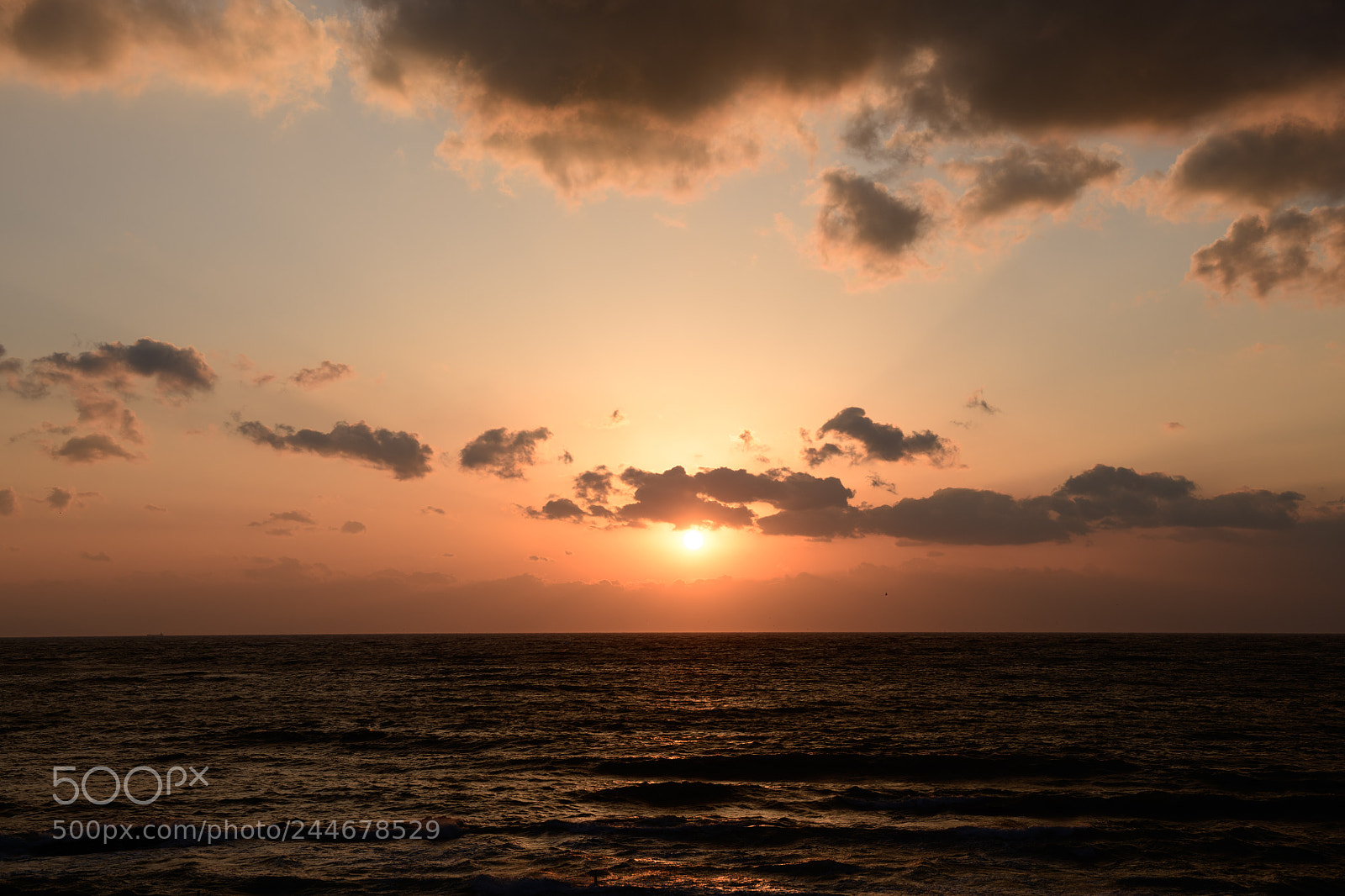 Nikon D850 sample photo. Sunset time photography