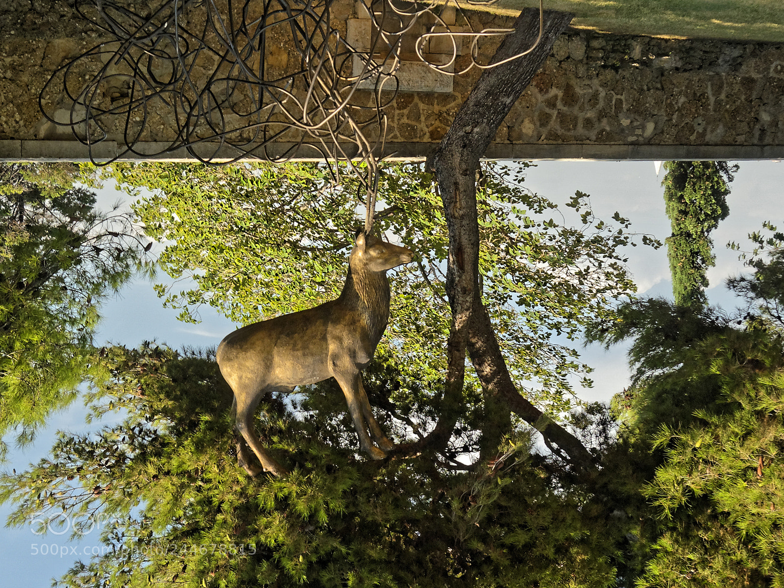 Olympus PEN E-PL3 sample photo. Deer. photography