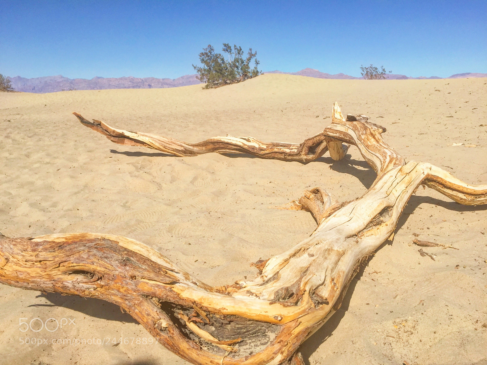 Apple iPhone 6 sample photo. Death valley photography