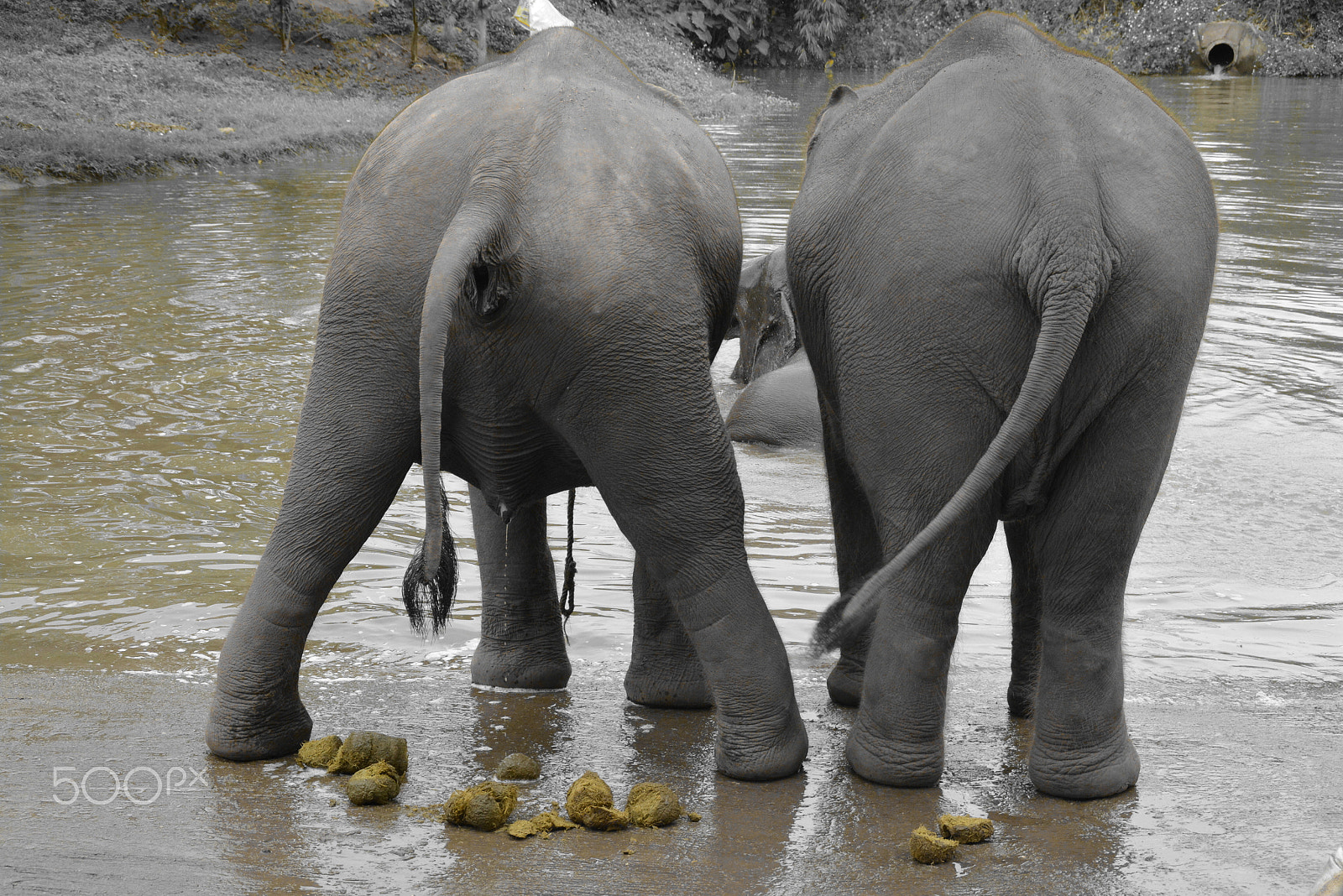 Nikon D7100 sample photo. Amazing thailand. photography