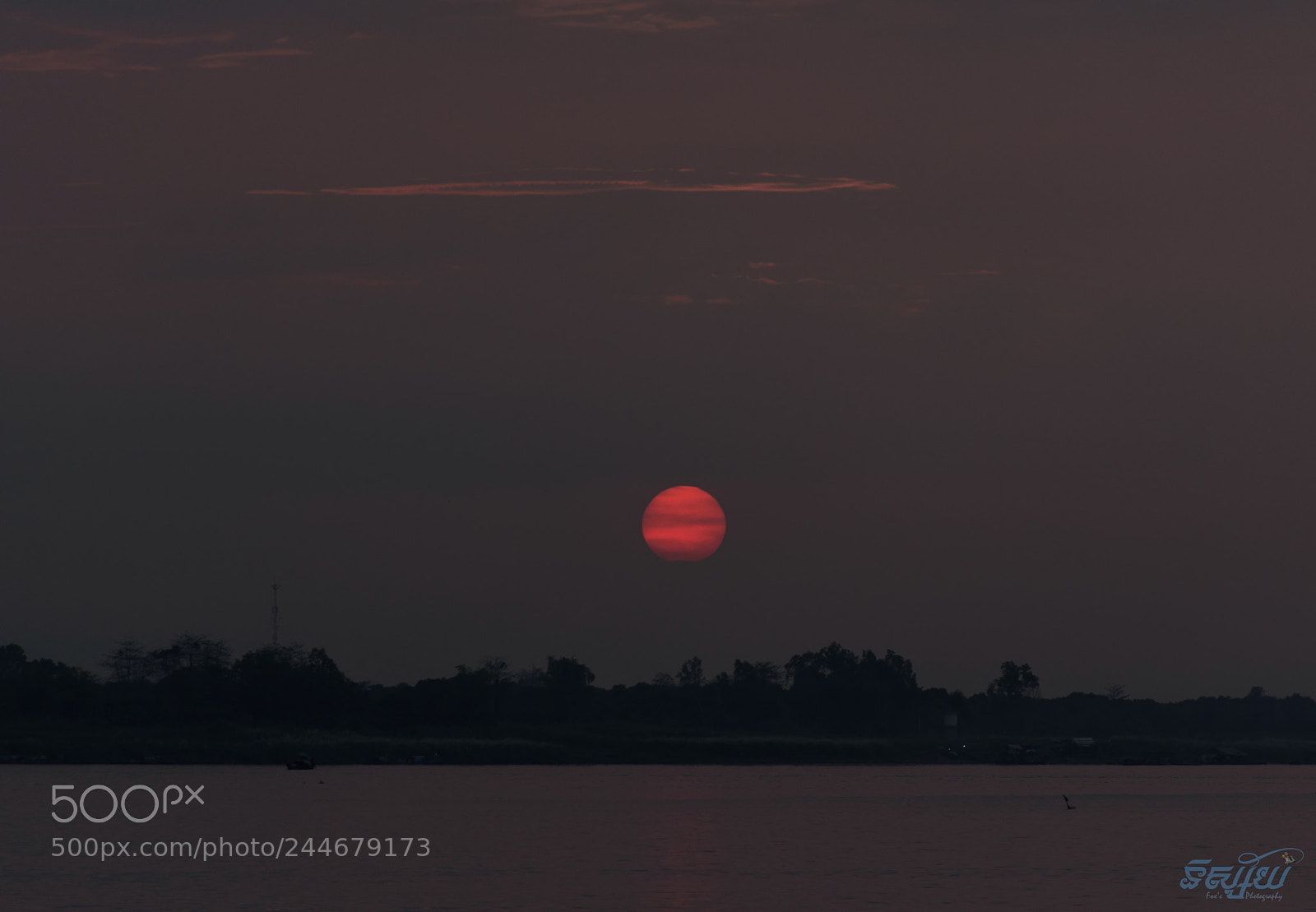 Nikon D5500 sample photo. Early morning with red photography