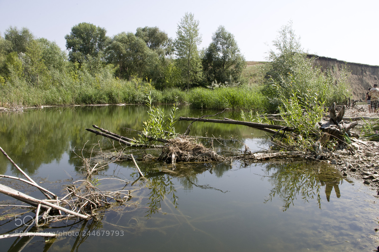 Pentax K-r sample photo. Вспоминая лето )))) photography