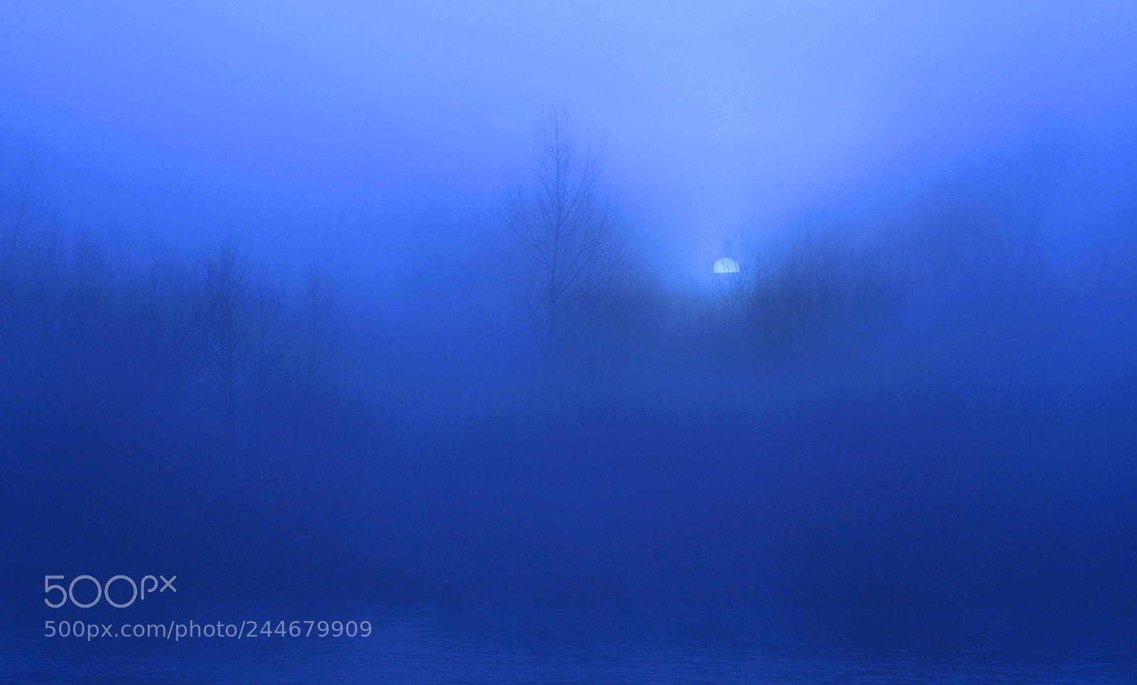 Olympus OM-D E-M5 II sample photo. Blue morning... photography