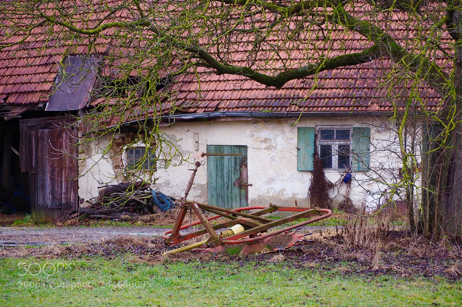Olympus OM-D E-M5 II sample photo. Beautiful neglect photography
