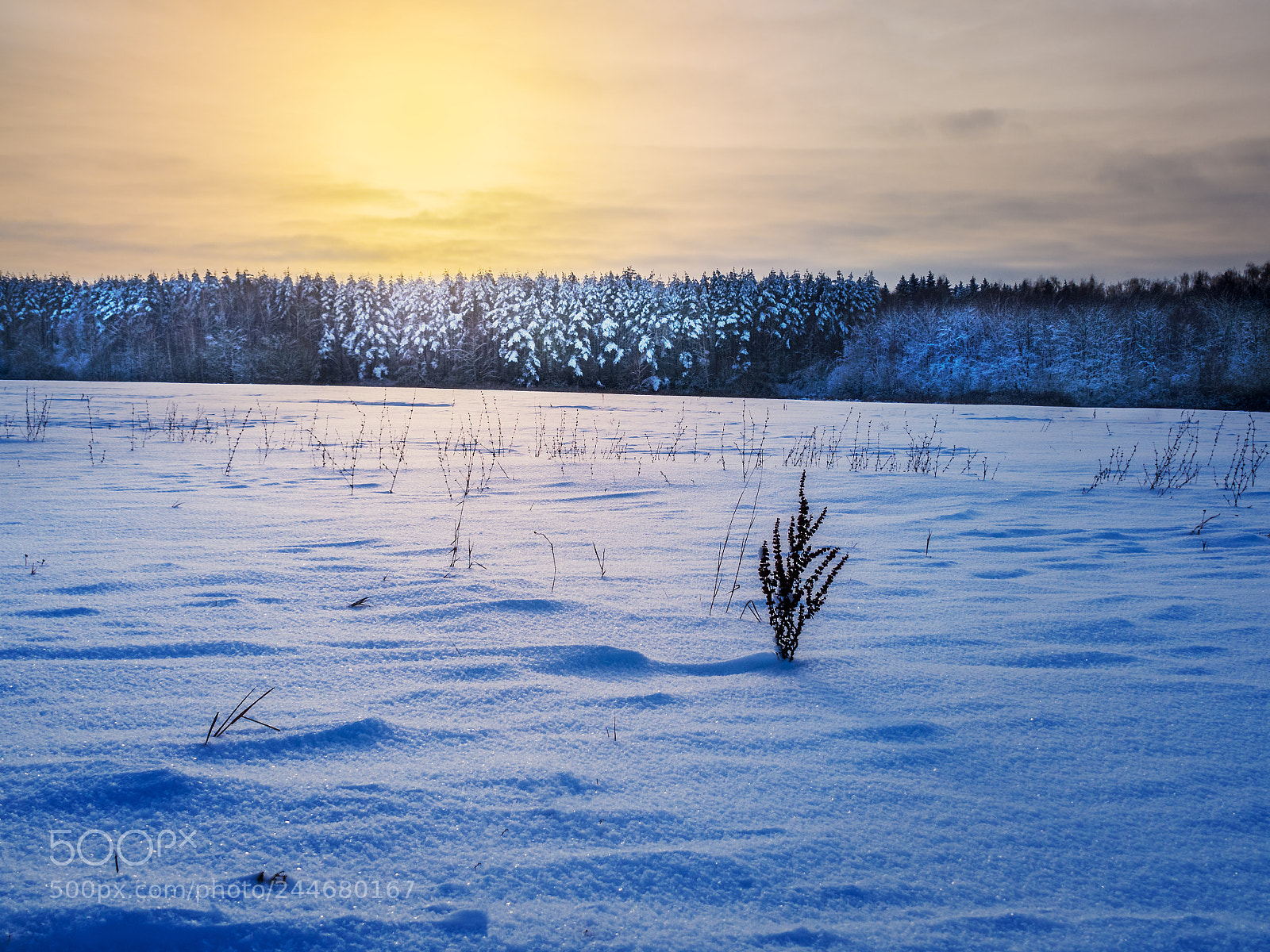 Olympus OM-D E-M10 sample photo. Sunset after snowfall photography