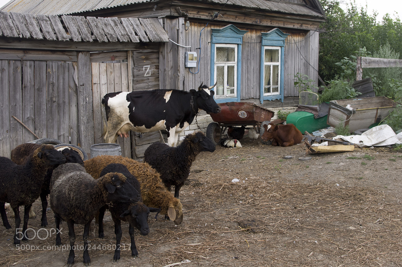 Pentax K-r sample photo. Деревенский колорит ))))) photography